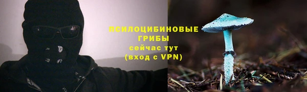 марки nbome Дубовка