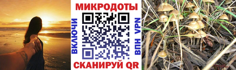 что такое   дарк нет наркотические препараты  Псилоцибиновые грибы Cubensis  Снежинск 