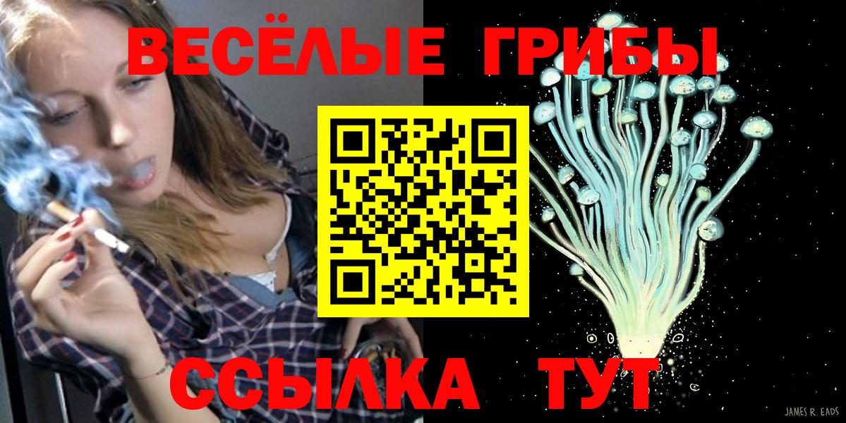 Псилоцибиновые грибы мицелий Снежинск