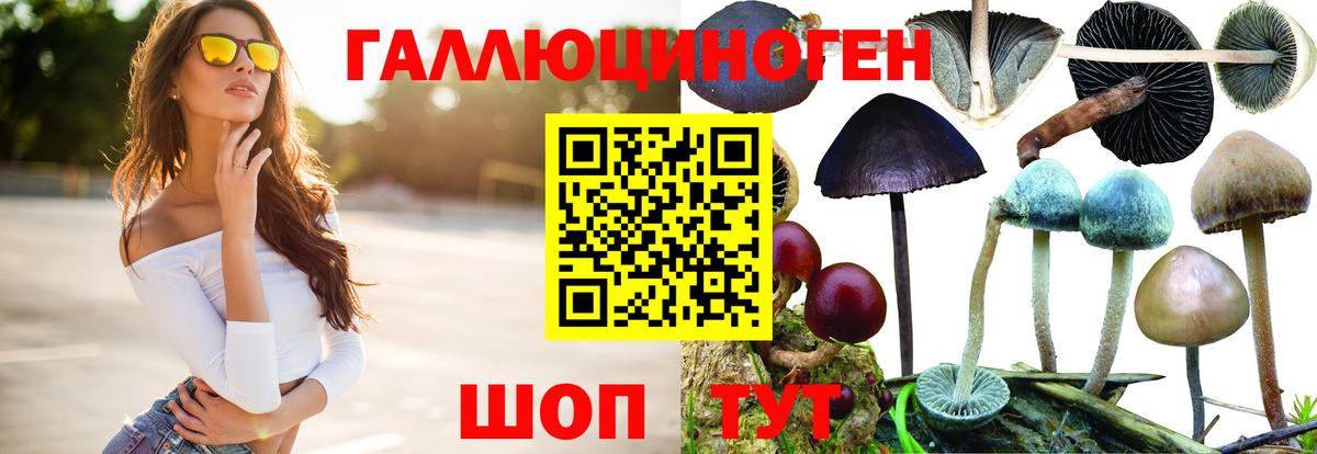 Снежинск  Галлюциногенные грибы прущие грибы  Вход с VPN 